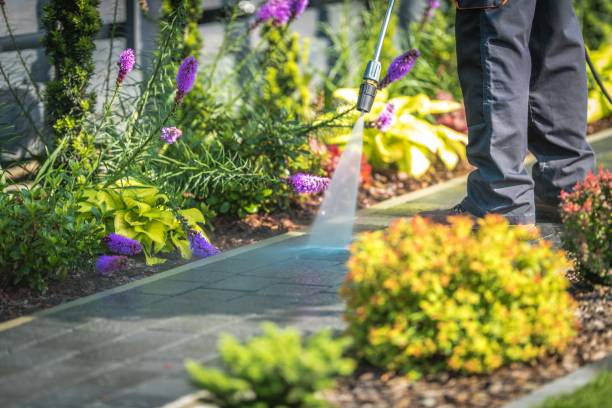 Best Sidewalk and Walkway Cleaning  in Demarest, NJ